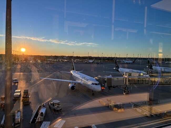 9/1（月）、朝6時25分ミュンヘン空港第2ターミナルサテライトに着陸しました。<br />ターミナルから見る朝日が綺麗です。<br />ルフトハンザ機が並んでいます。<br />外の気温は9度。<br />連日、真夏日の日本から、一気に涼しくなります。