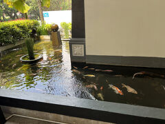 チェックアウト。

ホテル前に池が。
最新ではないですがスペースもゆったりしてて快適な宿でした。