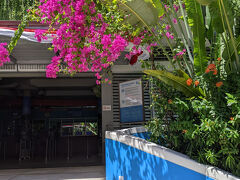 ウォーターボム到着。

ポゾ家、3年連続3度目の入場であります！

2024
https://4travel.jp/travelogue/11923118
2023
https://4travel.jp/travelogue/11861869

今年はアクションカメラを買ったのです。
違う写真撮れるかな。
