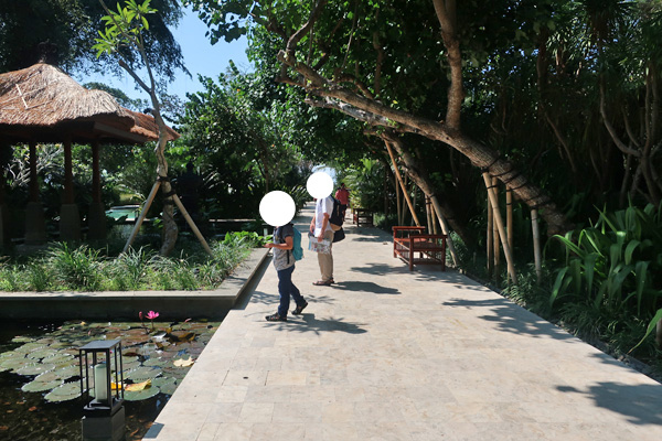 ホテル内の敷地はそれほど広くありませんが、木々が多く雰囲気が良いです。