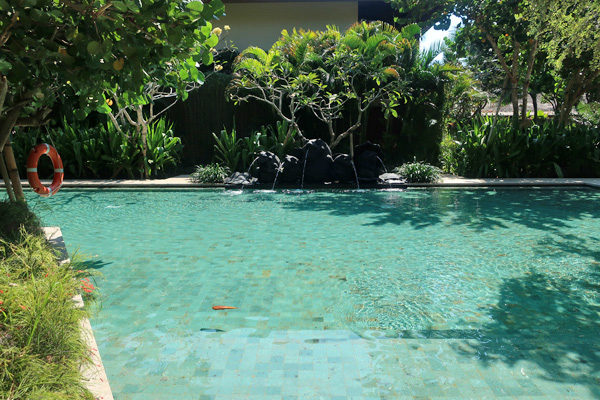 キッズプールのAlit。