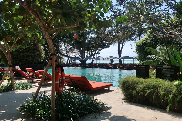 メインプールのLiang。