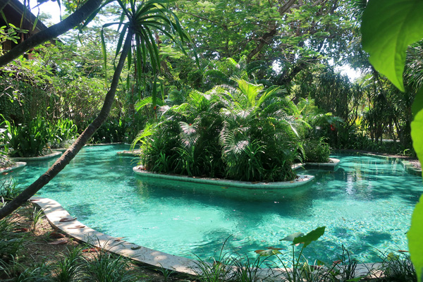 こちらはプールアクセスルームのプールかな？木々に囲まれて鬱蒼とした雰囲気です。