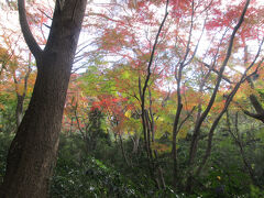 獅子舞谷の紅葉です