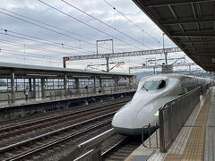 11/12(火）

小田原駅で東京へ向かう夫と別れます。私は小田原10:02発の「こだま713号」で名古屋へ向かいます。本来の計画では10:07発の「ひかり637号」に乗るはずでしたが、満席ということで叶わず。

小田原を出発して次の駅熱海ですぐに、後発の「ひかり637号」に追い越されました～。悔し～。すごい敗北感。笑

「こだま」って遅い。「ひかり」だと小田原から名古屋まで1時間ちょっとなのに、「こだま」はその２倍の2時間かかります。

そういえば、むか～し、新横浜にこだましか停車しない時代。名古屋から延々とこだまで行ってたわ～。東京までの方が早かった。そんなことを思い出しました。

いつもならこんなにイライラしないのですが、この日は犬山で友人とランチの約束がありました。一応、友人には到着が遅れる旨の連絡はしてましたが、ちゃんと確認してるか不明のまま。いつまで経っても既読にならない。

そのうえ、日本到着してから私のeSIMが上手く作動してません。今までは夫と同伴だったので、これといって困りませんでした。彼はいつもアメリカからそのままWi-Fiを使っています。

新幹線内のフリーWi-Fiは繋がらないし、友人と連絡が取れない状態のまま、ずっと焦りっぱなし。もやもやもや、、、。

JR名古屋駅にやっと到着。預ける時間もないのでスーツケースを引っ張りながら、名鉄に移動します。ダッシュ。

これがまた名鉄のホームでの待ち位置がわからない。電車の乗り口を色分けしてあるのですが、どれがどこ行きやらさっぱり。電車は次から次へと入線してくる。もう時間の猶予もないので、周りの人に尋ねました。皆さんご親切で、丁寧に教えてくださいました～。もう感謝、感謝です。

犬山までは特快で25分ほどで着きました。駅のロッカーにスーツケースを押し込み、やっと自由の身になれました。

テキストに気づかない友人はずっと待っていてくれました。当初の予定から30分以上の遅刻です。この日は11月なのに結構暑くて、本当に申し訳なかったです。本当にごめんね～。