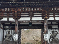 石山寺　東大門

こんなに遠い所まで　帽子屋と来たん　母さん