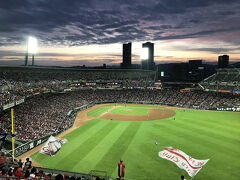 マツダスタジアム、
カープパフォーマンスからの、
素晴らしい景色。