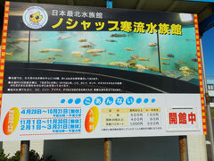 ノシャップ寒流水族館。

＊わっかりうむ（ノシャップ寒流水族館＆稚内市青少年科学館）入館料　500円
