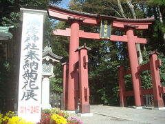 弥彦観光のメイン、弥彦神社です。鳥居の下に人が多かったのですが、１～２分待って人がいないタイミングで撮影。