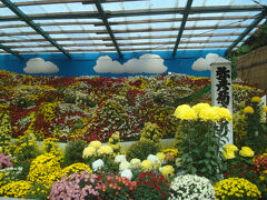 大風景花壇「霊峰白山」です。華やかな割に、人がそれほど集まっておらず、じっくり鑑賞と撮影ができました。