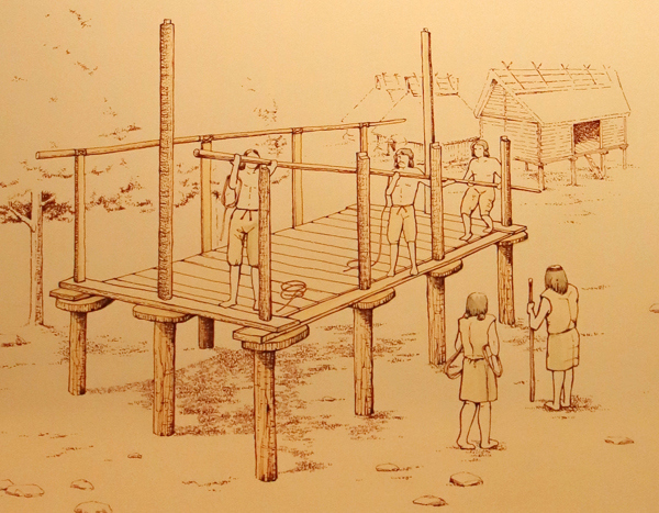 松山市考古館に建築の様子が展示されていました。