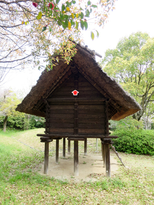 近づいてみると、