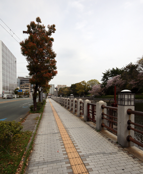 自転車を走らせ、松山城のお堀沿いまでやって来たら、