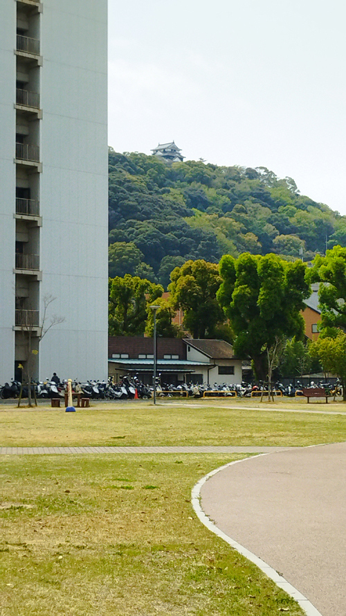 振り返ると、松山城が見えました。