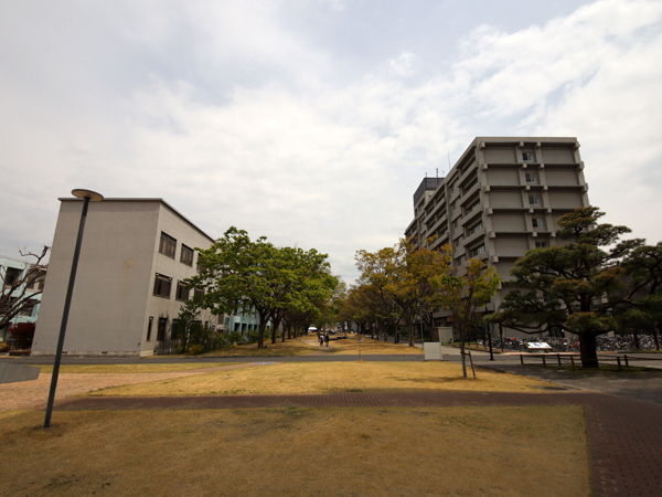 とんでもなく広いです（０_０）<br />多摩ニュータウンのような大型公団住宅のよう。