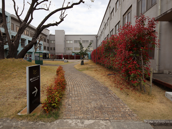 その一角にひっそり佇む愛媛大学ミュージアム（入口は、上の画面左側）。