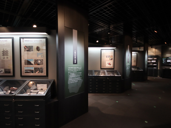 館内はアカデミックな雰囲気で、研究施設に来たみたい。