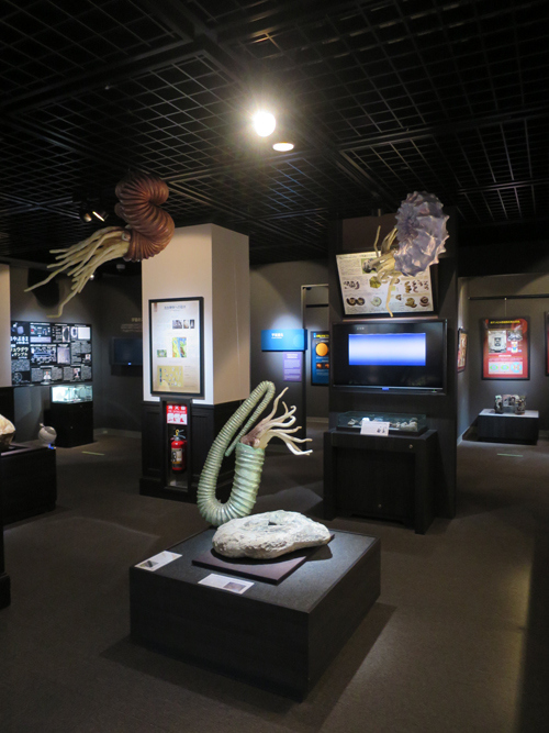 しかし、これはキモイ（＝_＝）