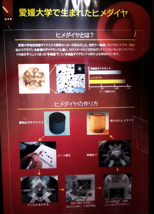 「ヒメダイヤ」です。<br />このニュースは新聞で読んだような気がします。<br />でも、それが、この愛媛大学だったとは！<br />急に親近感を覚え興味が湧いてきました。