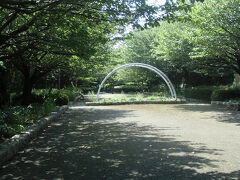 大和市つる舞の里資料館のすぐ北にある、さくらの散歩道。
名前の通り、ソメイヨシノをはじめ、ウコンザクラ、八重桜などさまざまな種類の桜を楽しめる、約１．２㎞の散歩道です。
訪問は７月だったので桜は見れませんでしたが。
「水道みち」と呼ばれる緑道となった水道管埋設ルートの一部です。

