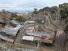 坂の下には動物園がありました。
