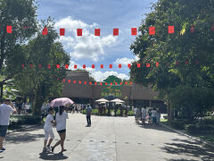 さて今日は息子が一番楽しみにしてたサファリへ。
口コミで「朝イチで行った方がよかった」と見たので、9時半前にサファリに到着。
もうすぐベトナムの祭日があるので、あちらこちらに国旗が飾られていて、素敵です。
