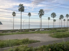 伊東着く手前
このパームツリーがいい

