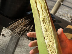 【パンダバスで水上マーケット＋メークロン市場観光（半日コース）】

まあ、確かに、そーいう時代だよねぇ...

ネット申し込みで全然問題ないとは思うものの、やっぱ実際の店舗が無くなっていくのは寂しい...よねぇ...私の年代的には...。やっぱ、ビジュアルで有人店舗の方が、簡単な気がしてしまう（需要が見込めるのでは？と思ってしまう）のは...やっぱ、自分が歳を取った...という事か。


写真：これは、椰子の新芽の模型...なんだとか。