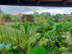 6月10日（火）

☆Alaya Resort Ubud＜532号室＞

今朝はのんびりと8時起き

しかし、生憎の雨
今日はキンタマーニに行くのに大丈夫だろうか。
午後から晴れてくれたらいいのだけど。