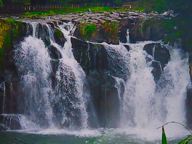宮崎残暑16 関之尾滝（幅40m/落差18m）小雨の大滝 ☆溶結凝灰岩