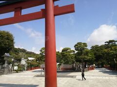 鶴岡八幡宮。昨年参拝しましたが今回は行きませんでした。