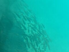 ダイバー気分を気軽に味わえるのがほんとにうれしい。
想像よりずっと楽しい施設でした。