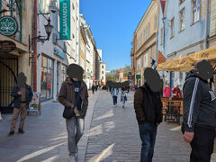 ヴィル門を通るとこのような街並みを見ることができます。
おっとりとした雰囲気でした。