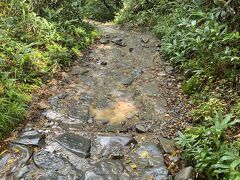 いよいよ尾瀬散策の始まり！石の道をどんどん下っていきます。明け方まで雨が降っていたので、沢のように水が流れ下りていきます。歩きづらい！