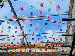 クルクル回っていました。かわいい。