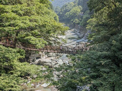 大歩危駅から30分、やってきたのは祖谷のかずら橋！

手前の道の駅で駐輪し、10分ほど歩いて向かいます