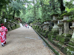 お腹が満たされたところで春日大社に向かいます。
写真ではわかんないけど、ここも鹿がいっぱい。