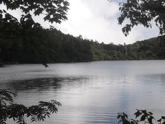 ２年ぶりの白駒池