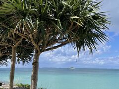 晴れたり曇ったりと不安定な天気。
明日からは天気が悪そうなので先にこちらのビーチへ。
いつもハワイみたいなビーチがお気に入りです。