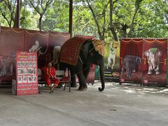 アユタヤ　エレファントキャンプ