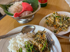 メニューもらったけど
インドネシア語オンリーなので
googleMapのレビューの写真見せて
食べたいものを発注

肉とか飽きてたので
野菜中心に

だめもとでアルコールないか聞いたら
隣の店にあるよと
持ち込みもOKと!

やりー♪