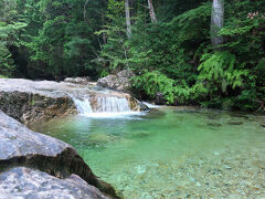 水の色が本当に綺麗。この入口付近の感じは屋久島の白谷雲水峡を彷彿とさせました。
