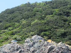 左手に白いものが見えました。