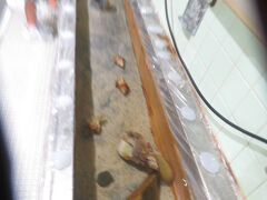 さらに車を走らせて、むろと廃校水族館に来ました。こちらは有料です。