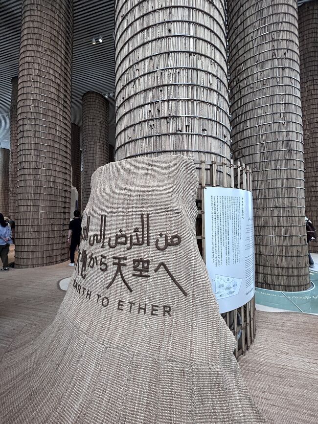 期待通りの巨大な木が建ち並ぶ空間。