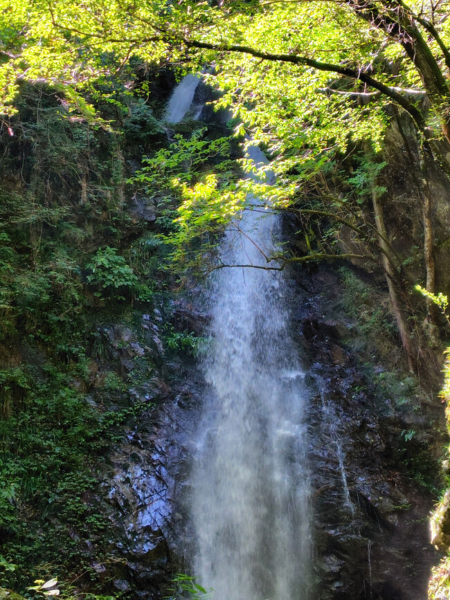 払沢の滝は数段に分かれているようで、すぐ近くで見えるのは一番下の滝だけです。<br />少し離れた所から上の滝が見えました。