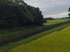 だんだん「森」が増えてくる。
山はまだまだ遠い。
多分、藤岡らへん。