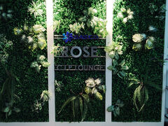 7月からの3回目のプライオリティカードはこちらをチョイス。