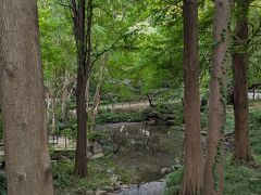 池の水が極端に少ない。猛暑の影響かな？