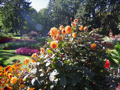 ダウンタウンから少しだけ南に歩きビーコンヒル公園へ。花や樹木などの自然が美しい公園です。